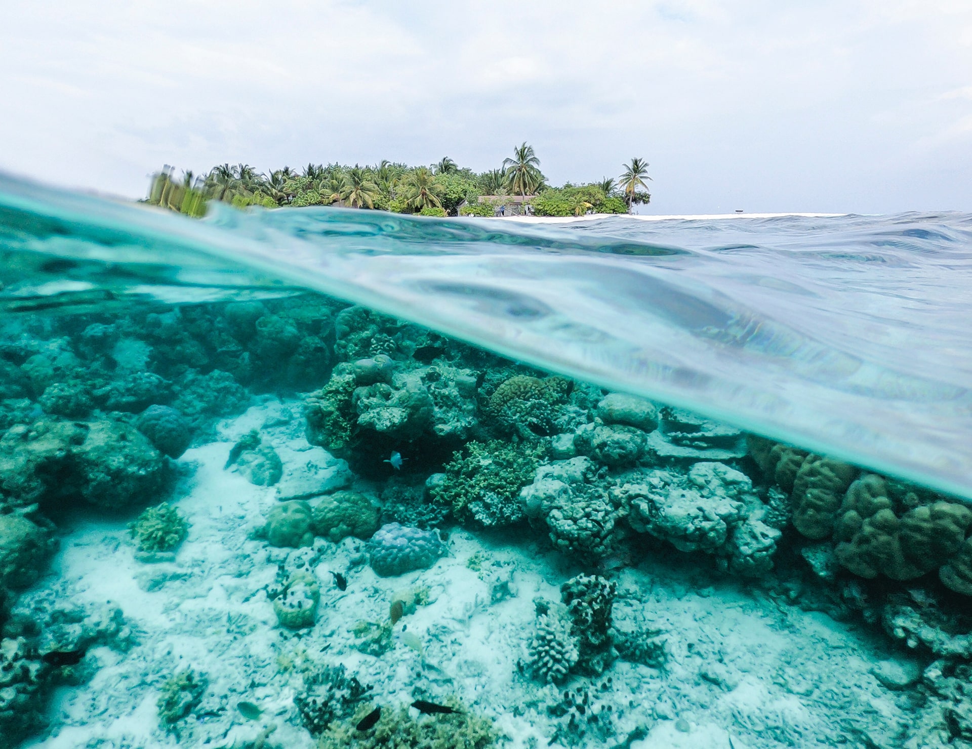 Hawaii Diving Pool Scuba diving in Hawaii gives the best emotions! – Sun Beach Club